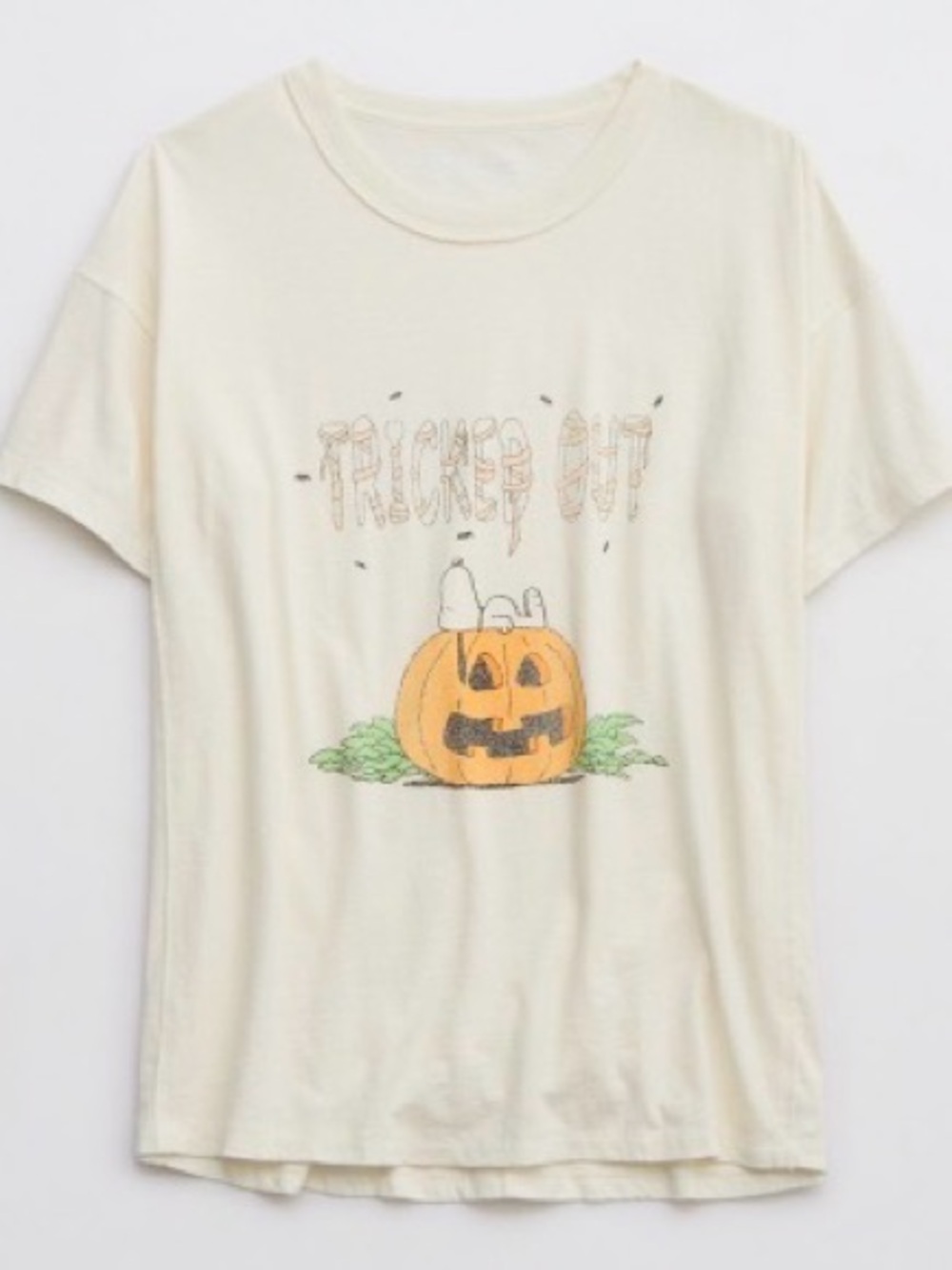 Aerie Snoopy Boyfriend Tee Great Pumpkin